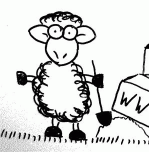sheep-construction